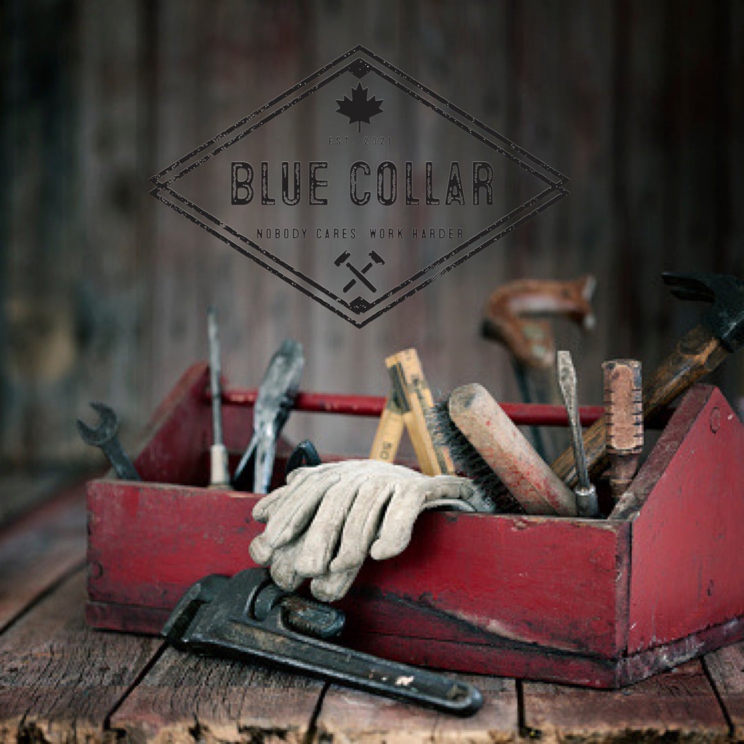 The Deal Box - Blue Collar Canada